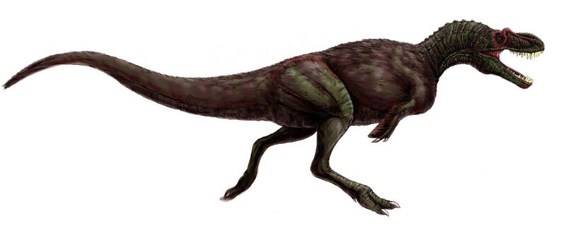 File:Appalachiosaurus montgomeriensis flipped.jpg