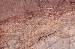 Grand Canyon Supergroup Stromatolites in Bass Limestone 0020 - Flickr - Grand Canyon NPS.jpg