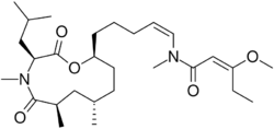 Kanamienamide.svg