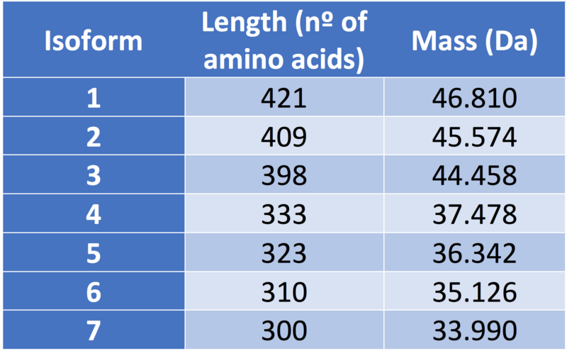 File:Length and mass of isoforms.png