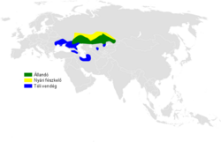 Melanocorypha yeltoniensis distribution map.png