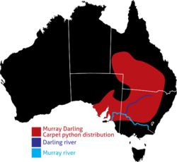 Murray Darling distribution.svg