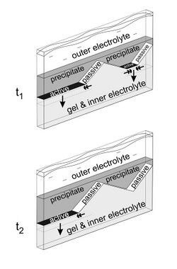Sequence of formation of macroscopic patterns. Two consecutive snapshots are shown. Dark grey represents the precipitate, light grey the hydrogel with the inner electrolyte, white the semipermeable "passive", while black the traveling "active" borders. Simple arrows indicate the growing (traveling) direction of the active precipitate borders, while double arrows their directions of shrinking.