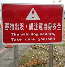 Stray dog warning kenting.jpg