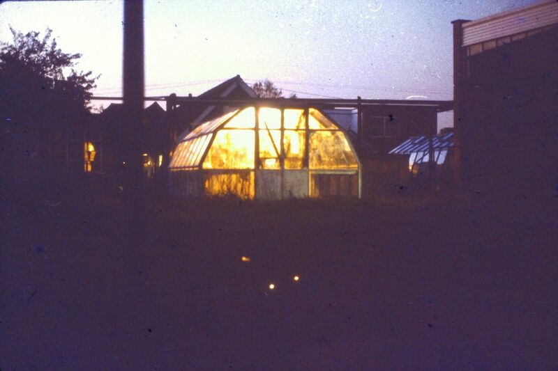 File:2390 - WYE SQUIRES EXPERIMENTAL LIGHTS IN GREENHOUSE.jpg