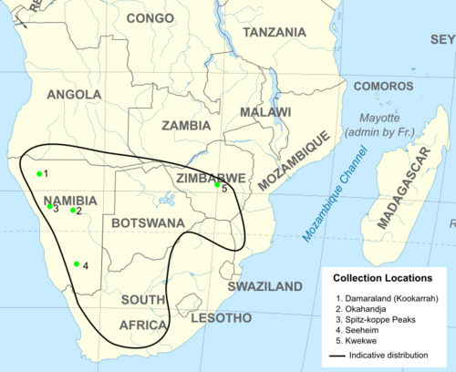 Abacetus pumilus distribution in Southern Africa