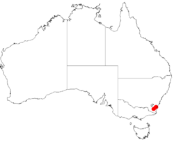 Acacia kydrensisDistMap500.png