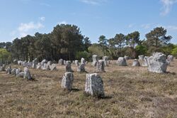 Parallel rows of upright, flat-sided stones set in a grassy field with trees in the background