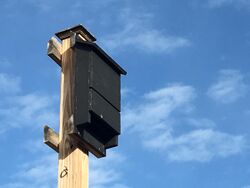 The image is of a wooden bat house