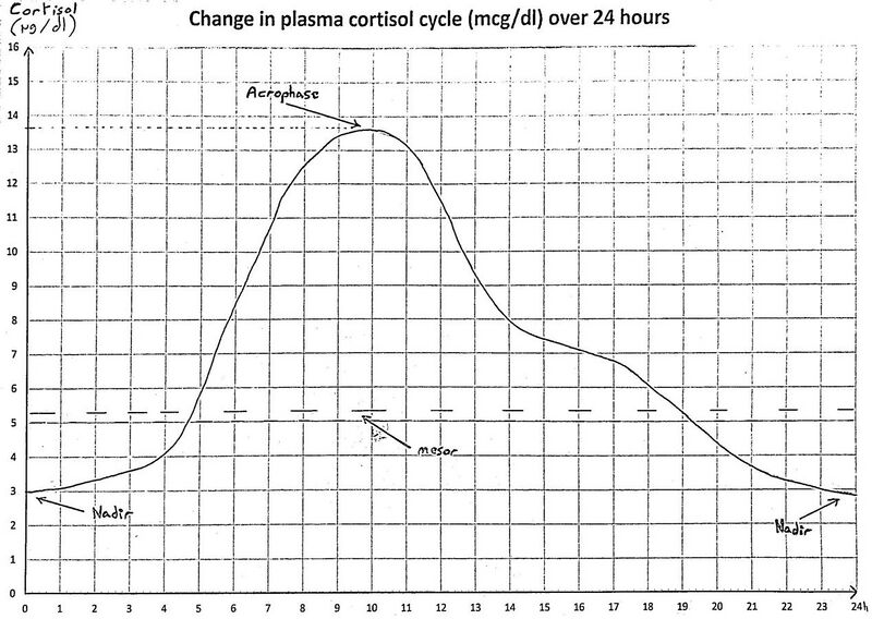 File:Change in plasma cortisol cycle over 24 hours.jpg