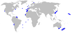 World map indicating the habitats (blue) in the mid–Atlantic Ocean, and in the Pacific Ocean, ranging from Japan to Australia to California