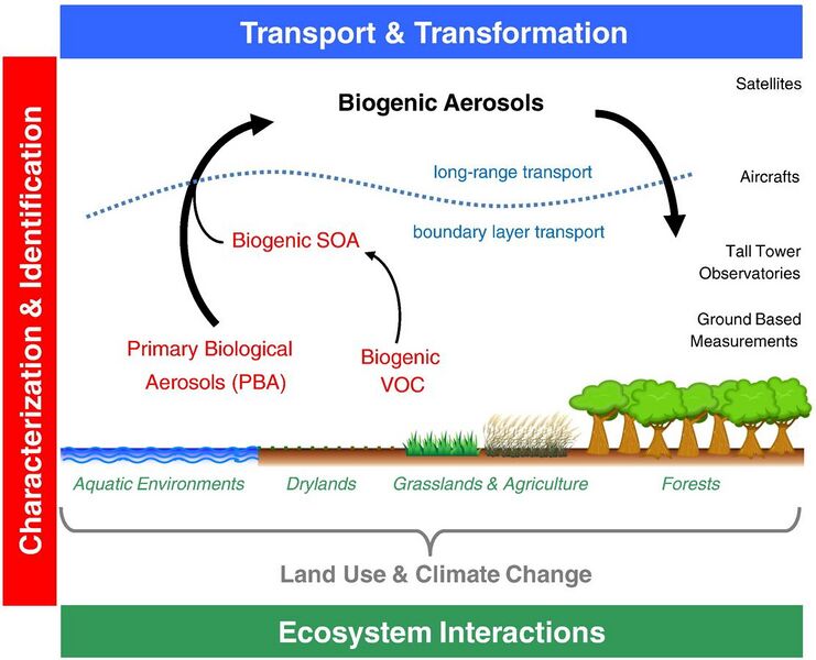 File:Ecosystem interactions of biogenic aerosol particles in the Earth system.jpg