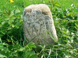 Hay lot marker stone, North Meadow NNR, Cricklade - geograph.org.uk - 417335.jpg
