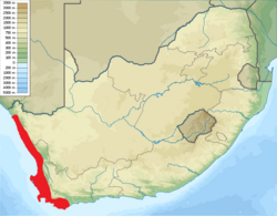 Map of South Africa, with shading indicating the species occurs in the western part of the country near the Pacific ocean
