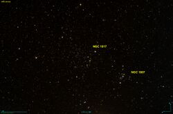 NGC 1817 DSS.jpg