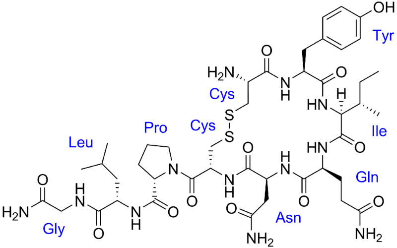 File:Oxytocin with labels.png
