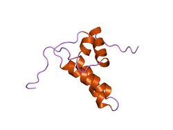 PDB 1dk3 EBI.jpg