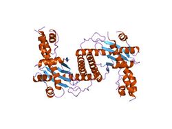 PDB 1kcf EBI.jpg