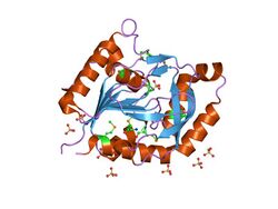 PDB 1o1y EBI.jpg