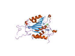 PDB 2cnk EBI.png