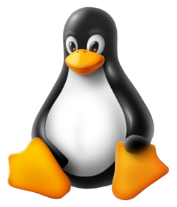 Tux Enhanced.svg