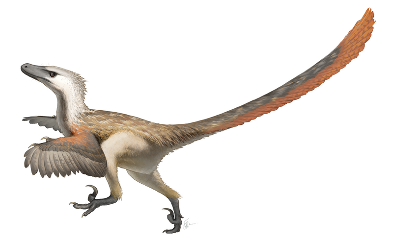File:Velociraptor Restoration.png