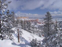 Winter storm at Bryce Canyon.jpg
