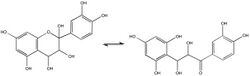 Cyanidin Chloride Leucoanthocyanin 3.jpg