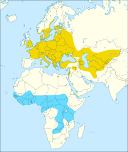 Eurasian reed warbler distribution map.svg