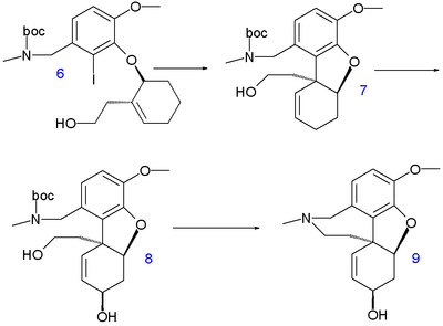 Galanthamine synthesis 2007 B
