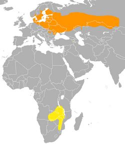 Luscinia luscinia range map.jpg