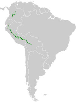 Malacoptila fulvogularis map.svg