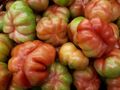 Montserrat tomatoes 2017 A3.jpg