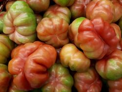 Montserrat tomatoes 2017 A3.jpg