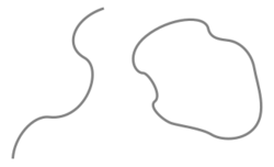 A wavy open segment and closed loop of string.