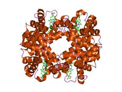 PDB 1j7w EBI.jpg