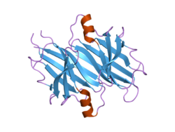 PDB 1x7s EBI.png