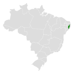 Phylloscartes ceciliae map.svg