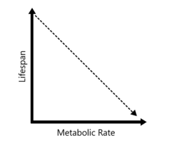 Rate of living img.png