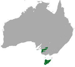 Tasmanian Pygmy Possum area.png