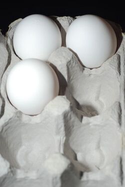 White Eggs in Carton.jpg