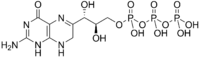 7,8-Dihydroneopterin triphosphate.png