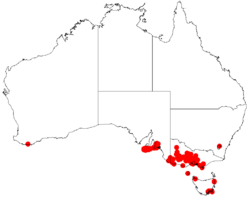 Acacia provincialisDistMap722.png