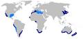 Copper shark geographic range