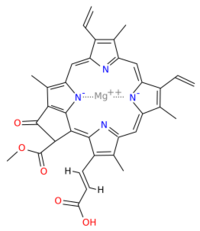 Chlorophyll c2.svg