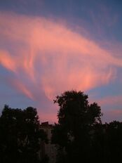 A picture of contorted cirrus cloud shining red in the sunset. Fall streaks (like long thin streamers) descend from the clouds.