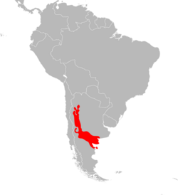 Cnemidophorus longicaudus distribution.svg