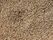 Lalibela-Sorgho.jpg