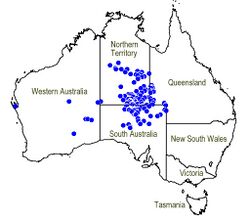 Map.Dicratylis costelloi.jpg