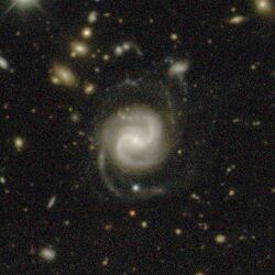NGC 635 DECam.jpg
